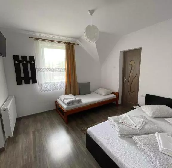 Pensiune Casa De Oaspeti Cristian