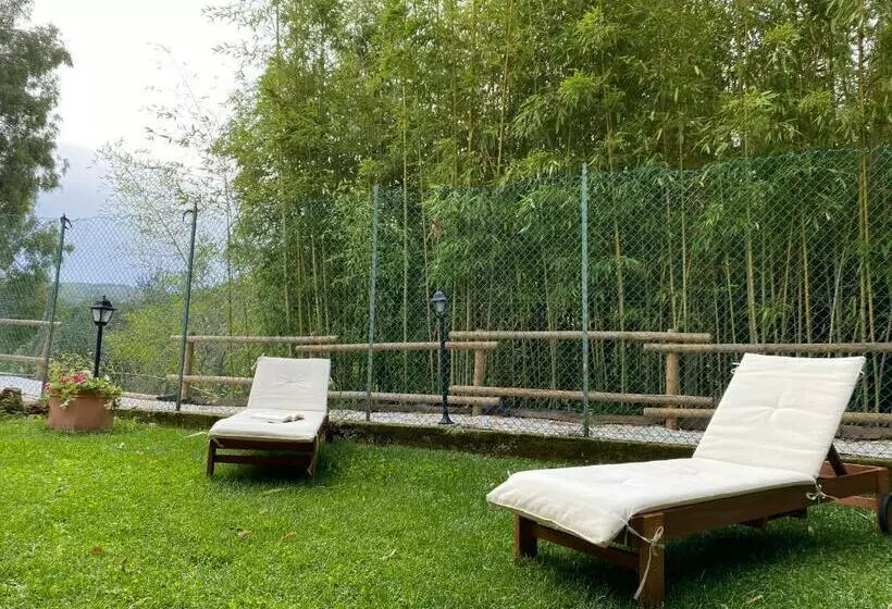 پانسیون Casa Vacanze Il Bamboo