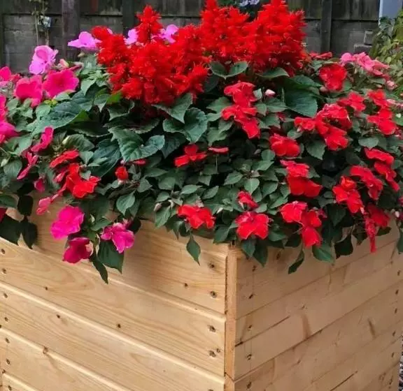 Majatalo Cosy Log Cabin   The Dookit   Fife