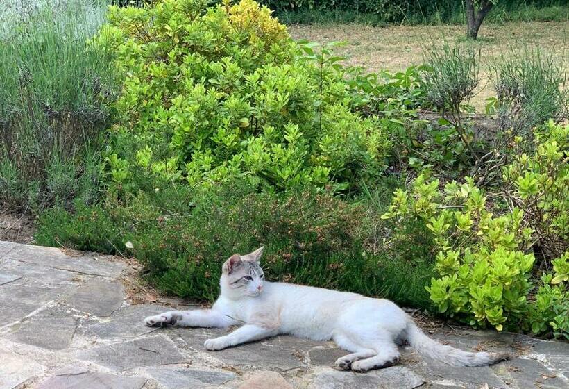 ペンション Le Paradis Des Anges