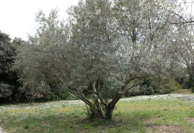 ペンション Le Paradis Des Anges