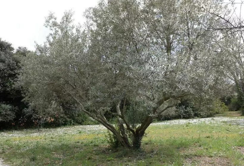 ペンション Le Paradis Des Anges