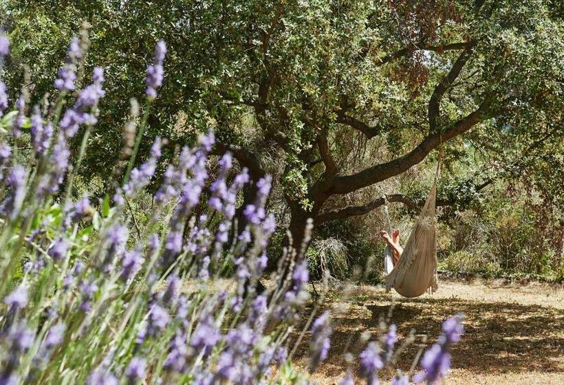 ペンション Le Paradis Des Anges