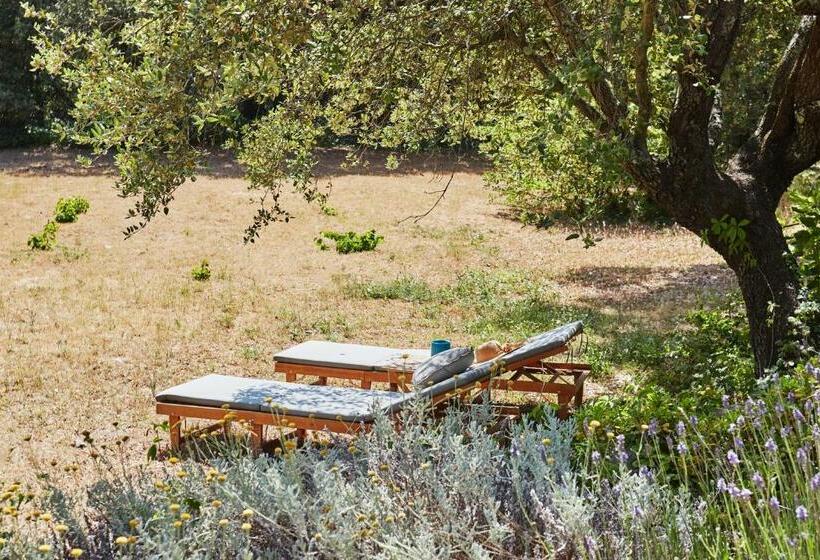 ペンション Le Paradis Des Anges