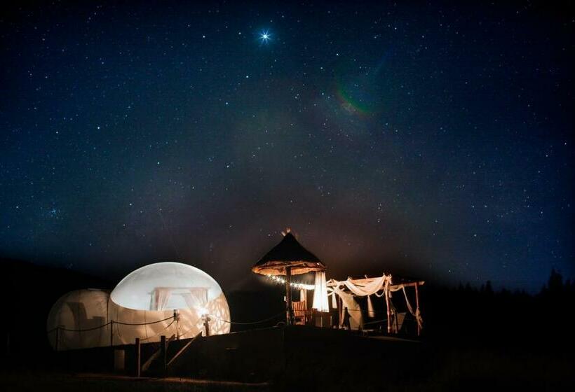 ペンション The Bubble Valley Piet Retief