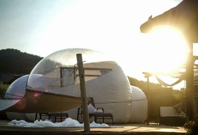 ペンション The Bubble Valley Piet Retief