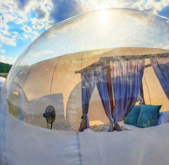 ペンション The Bubble Valley Piet Retief