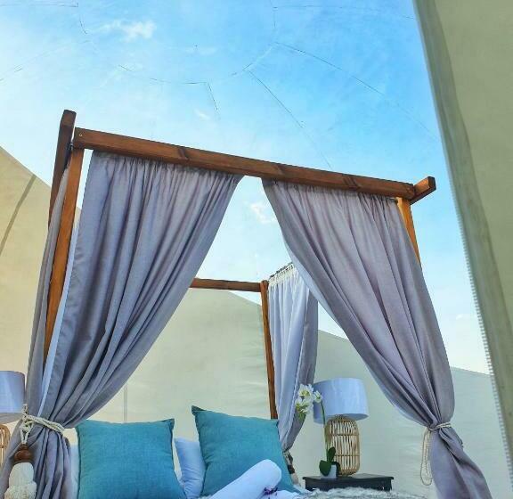 ペンション The Bubble Valley Piet Retief