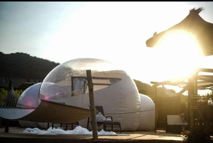 ペンション The Bubble Valley Piet Retief