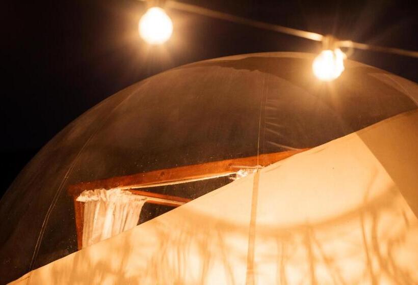 ペンション The Bubble Valley Piet Retief