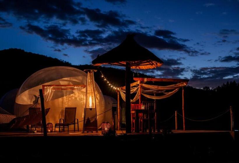 ペンション The Bubble Valley Piet Retief