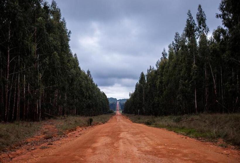 ペンション The Bubble Valley Piet Retief