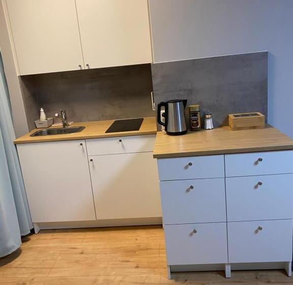 Общежитие City Studio Apartment Am Hauptbahnhof N6