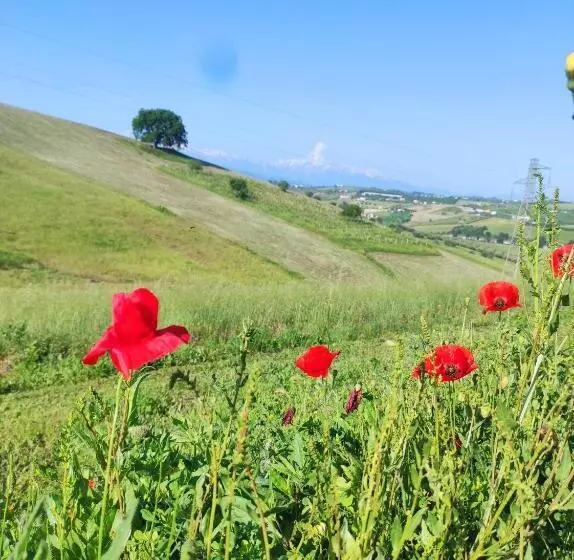 B&b Gli Amici Del Tubarello