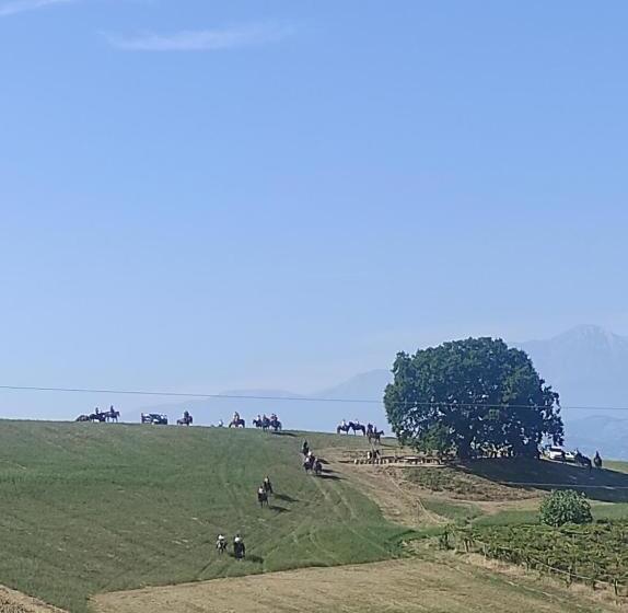 B&b Gli Amici Del Tubarello