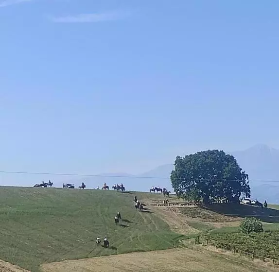 B&b Gli Amici Del Tubarello