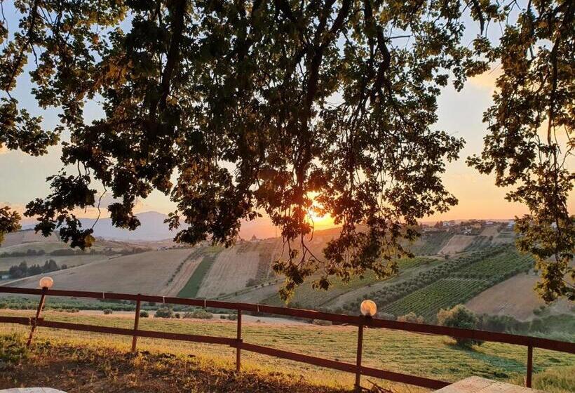 B&b Gli Amici Del Tubarello