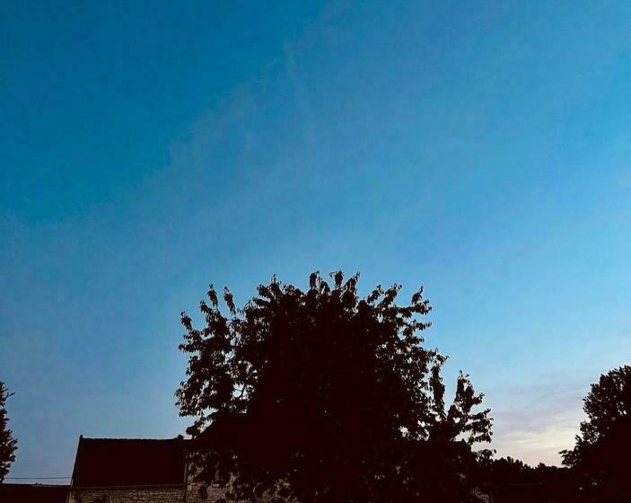 مبيت وإفطار La Gouronerie