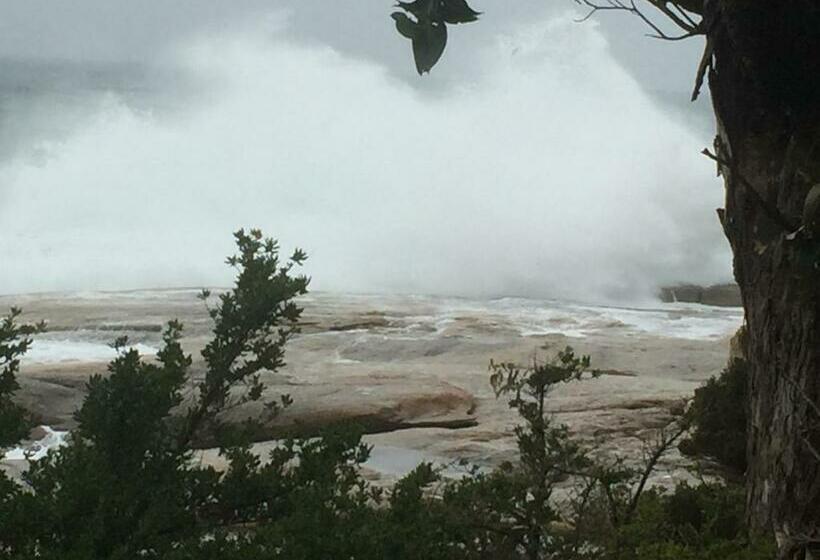 ベッドアンドブレックファースト Wheel House Studio