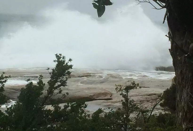 Aamiaismajoitus (B&B) Wheel House Studio