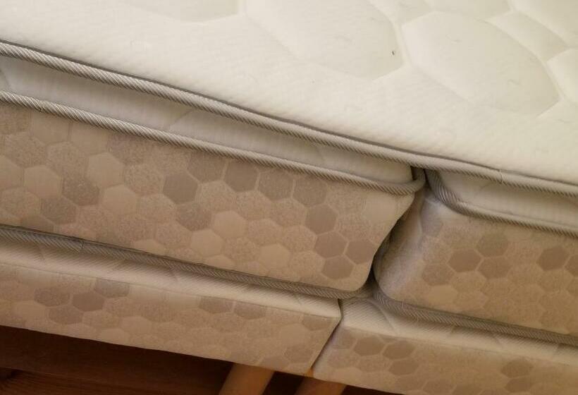 بنسيون Domaine De La Gaudinais