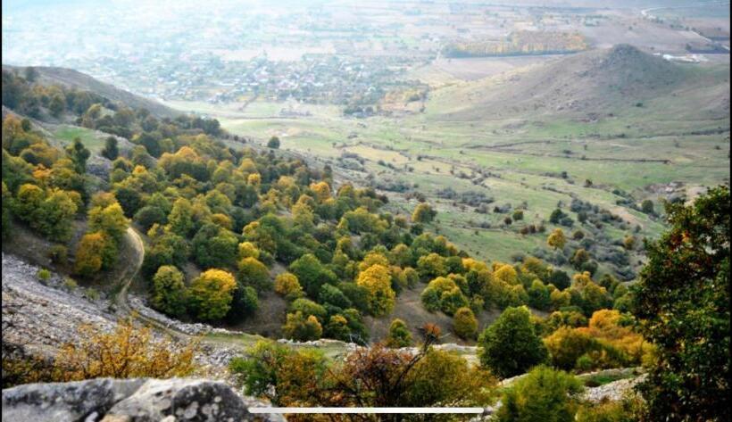 Pensão Niko’s House