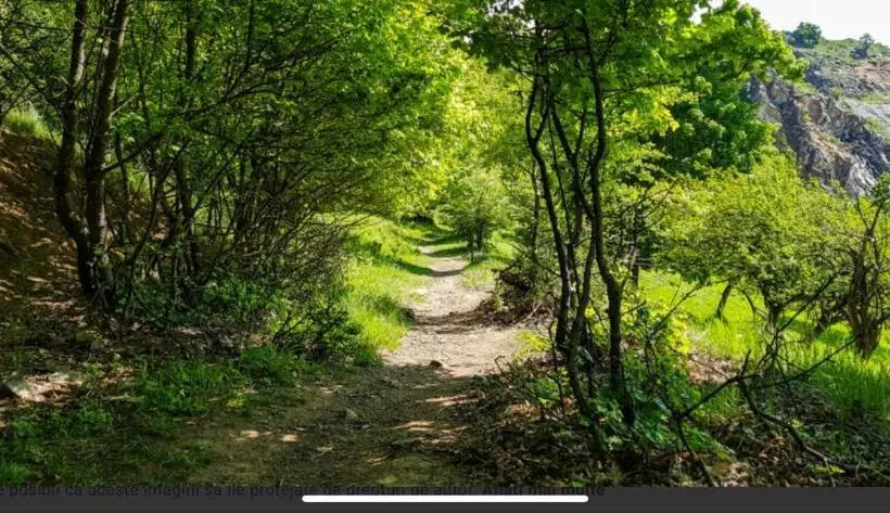 ペンション Niko’s House