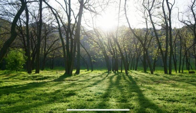 Pensão Niko’s House