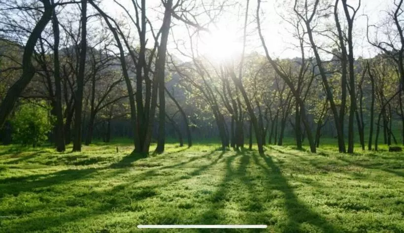 ペンション Niko’s House