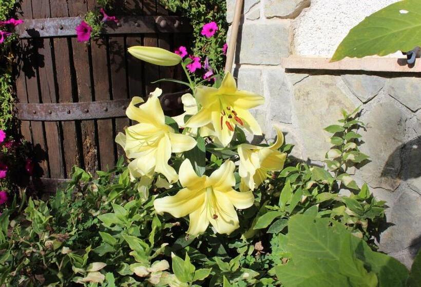 住宿加早餐 Agriturismo Nonno Tobia