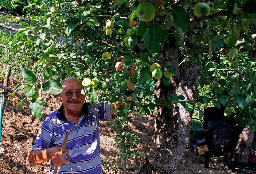 住宿加早餐  Agriturismo Nonno Tobia