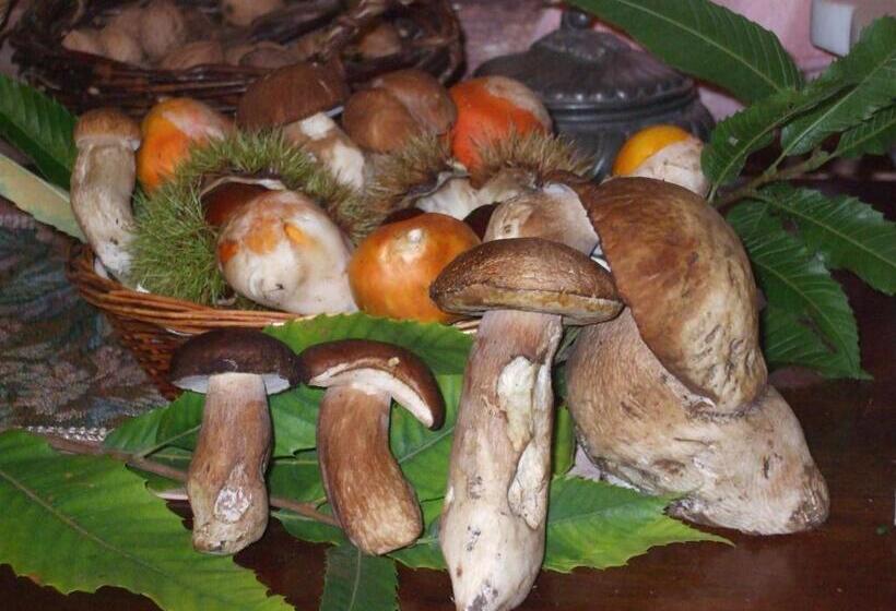 住宿加早餐 Agriturismo Nonno Tobia