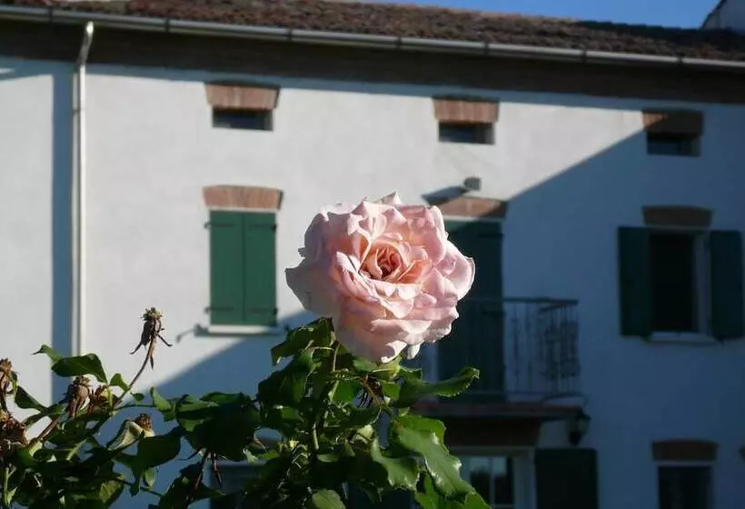 فندق B&b Corte Bertoia