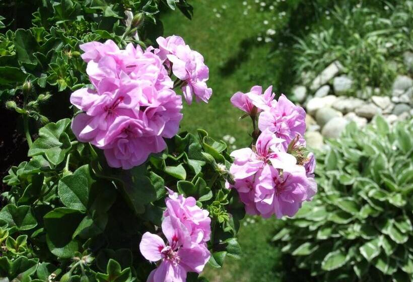 בית מלון כפרי Menthof