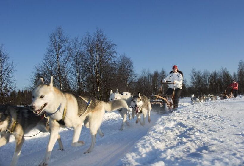 Levi Suites Levin Klubi