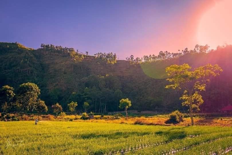 Bed and Breakfast Alam Bali Lake View