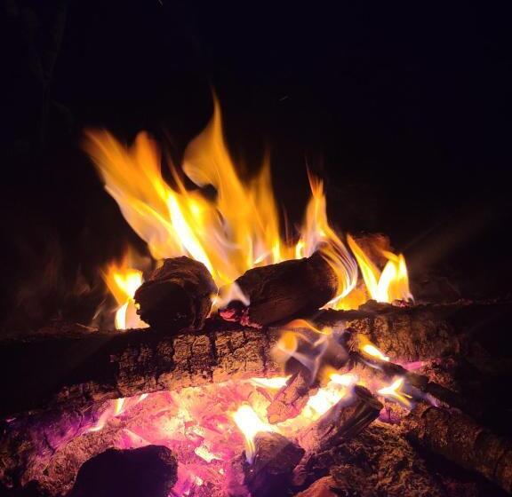 Bed and Breakfast Alam Bali Lake View