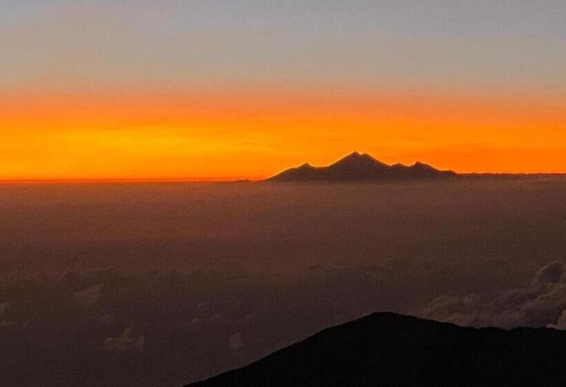 Bed and Breakfast Alam Bali Lake View