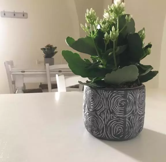 Majatalo Domo Antiga Guest Rooms