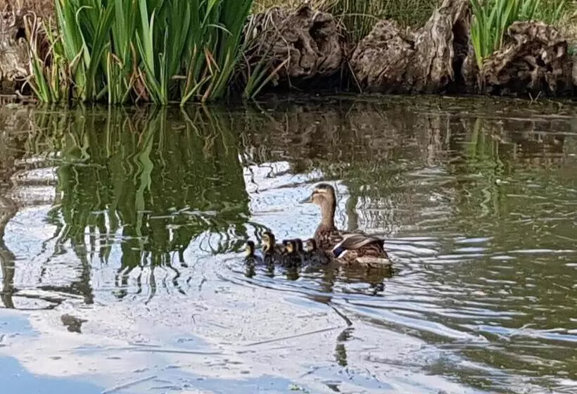 Majatalo La Source D Arimont