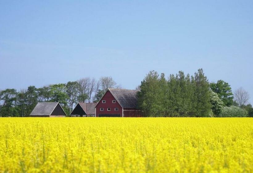 Vikens Bed And Breakfast