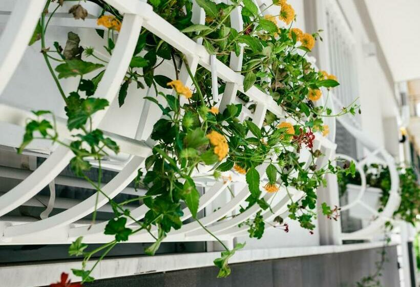 تختخواب و صبحانه Sweet Country Home Casa Lumepa