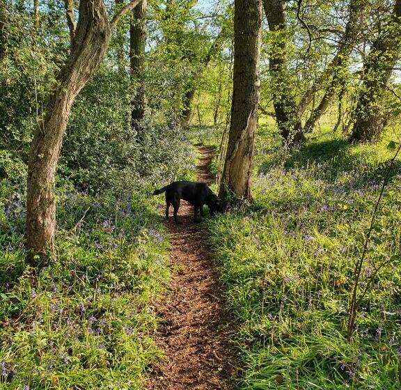 Old Gloucester Road Farm Bed And Breakfast