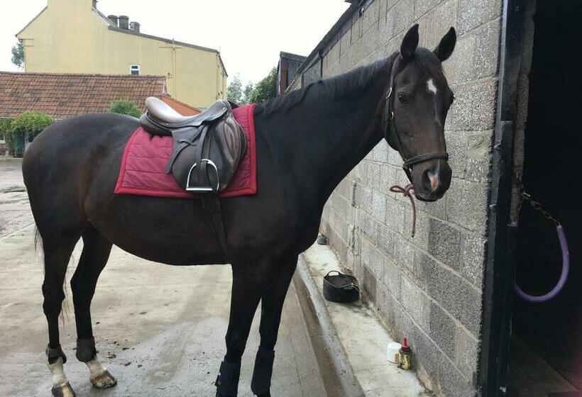 Old Gloucester Road Farm Bed And Breakfast