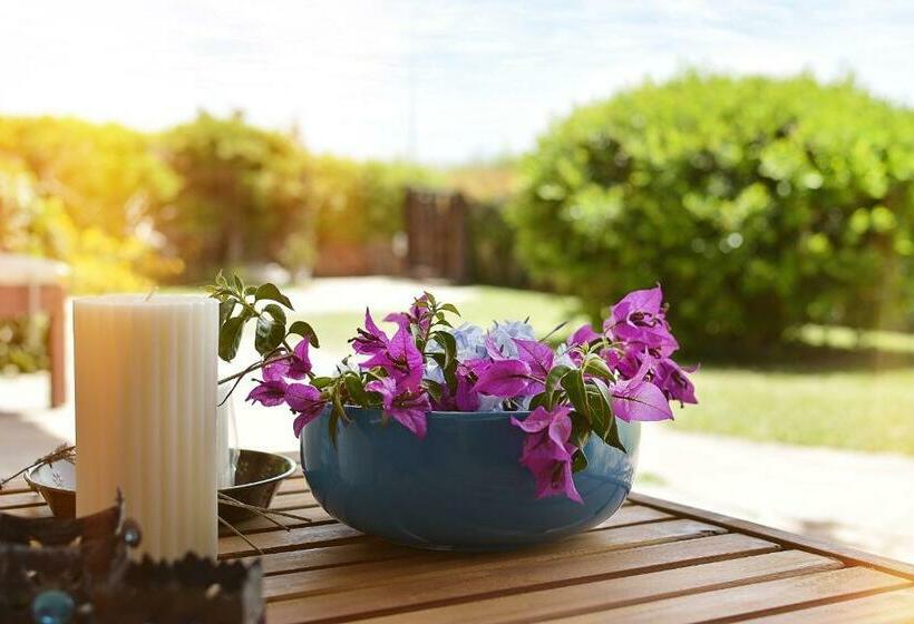 פנסיון Karamare