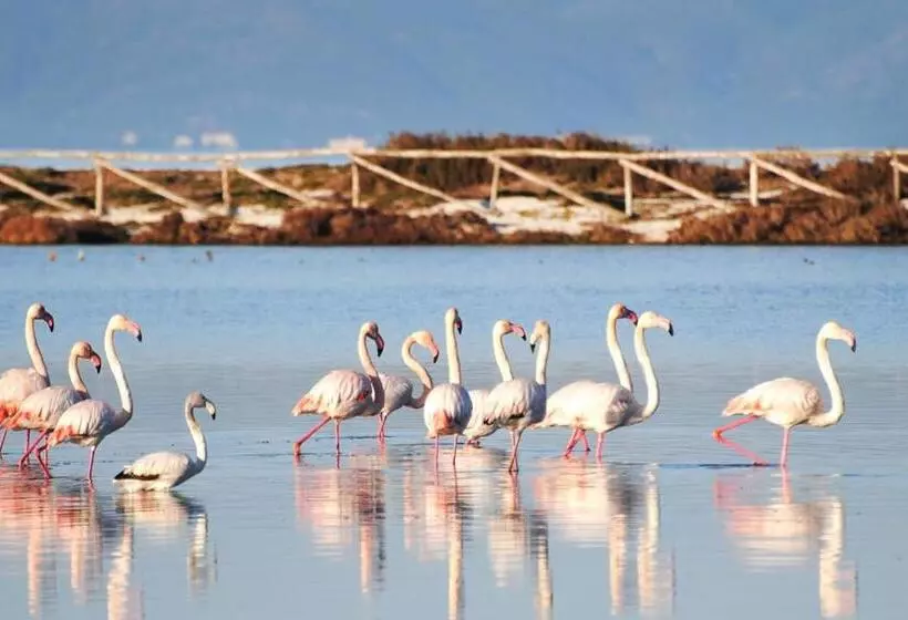پانسیون Karamare