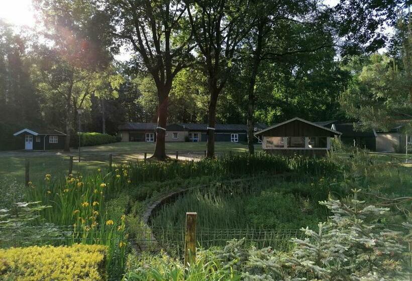 Waldjugendherberge Uelsen