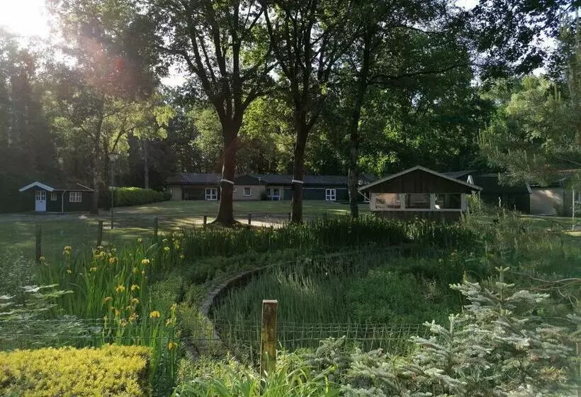 Waldjugendherberge Uelsen