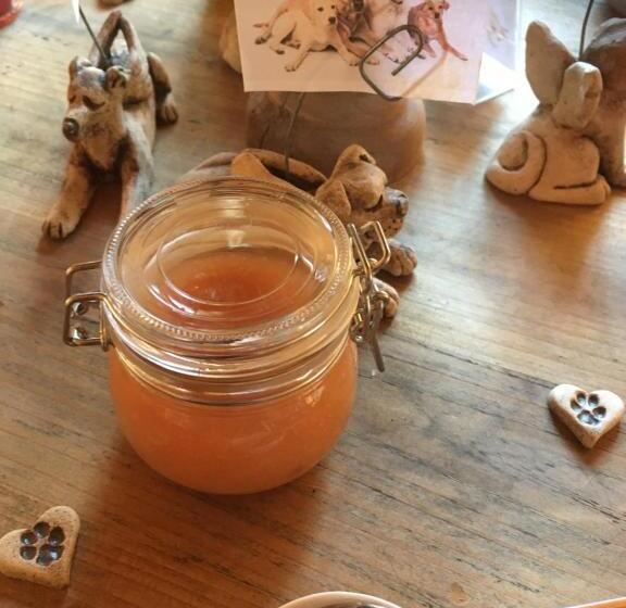 Bed and Breakfast Naturforsthaus Gartenblick Für Hunde Und Naturverbundene Menschen