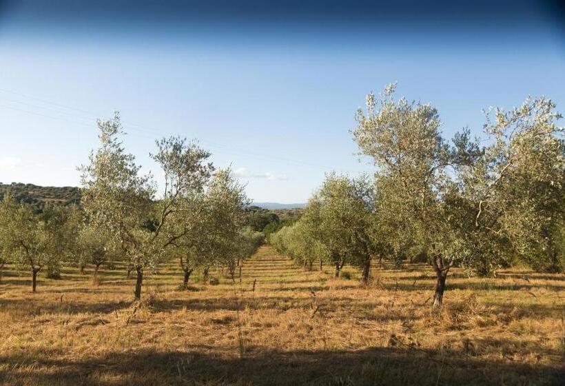 Orto De  Mandorli B&b